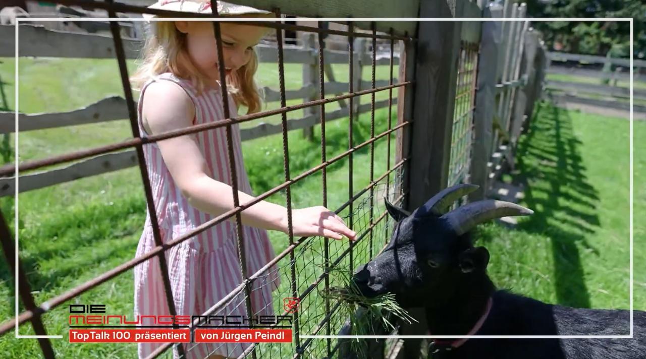 Video Kinderbetreuung Sommer