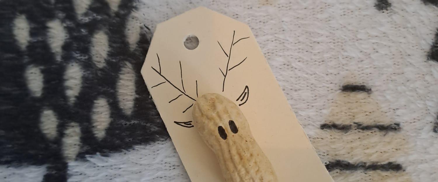 IMG-20231213-WA0015 IMG-20231213-WA0015