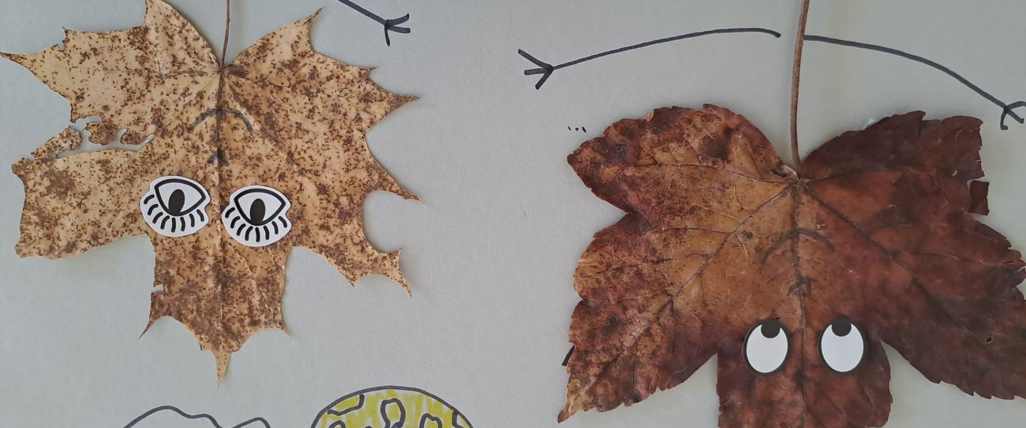 IMG-20230821-WA0009 IMG-20230821-WA0009