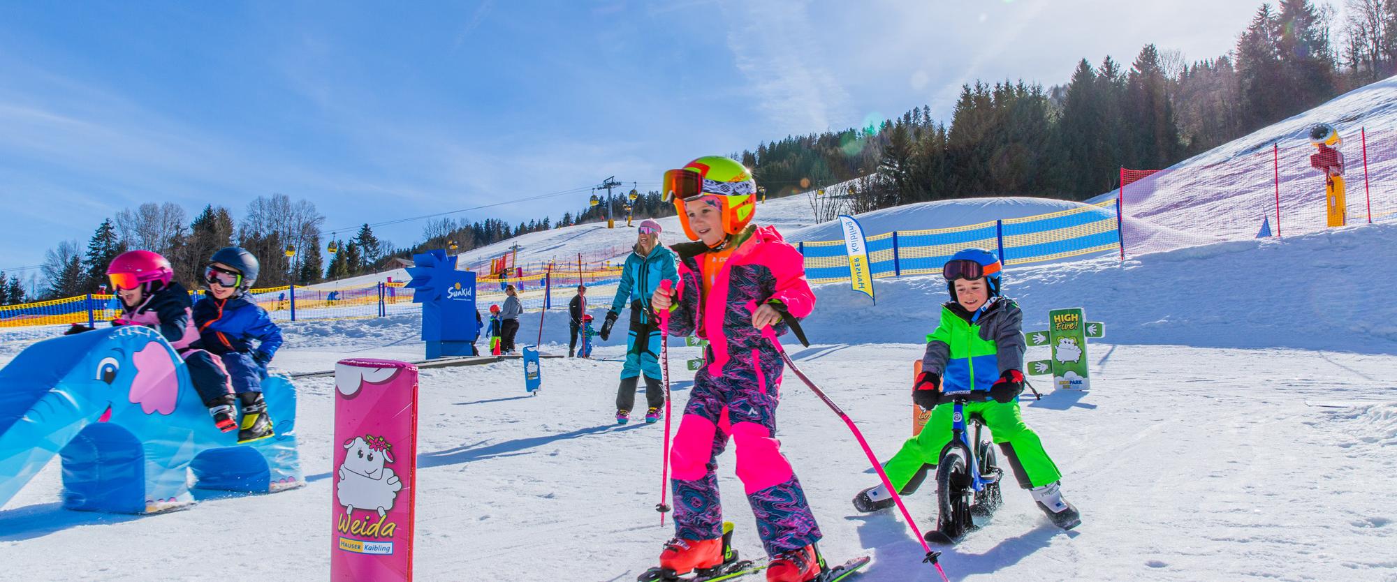 Bild 1_(1) Bild 1_(1)