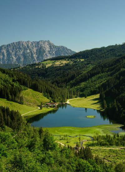 Bodensee1_(c)Marlene Eggmayr.71f1558c