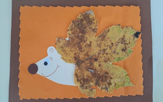 IMG-20230821-WA0011 IMG-20230821-WA0011