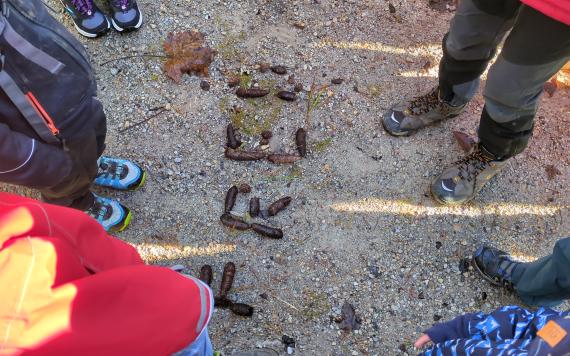 PXL_20231028_083932518 PXL_20231028_083932518