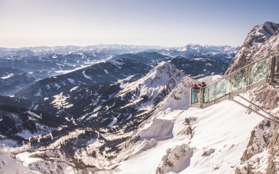 _DSC0208_1 _DSC0208_1