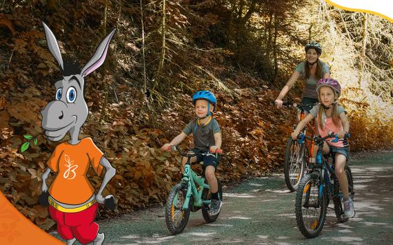 Bliem´s Familienhotel C1