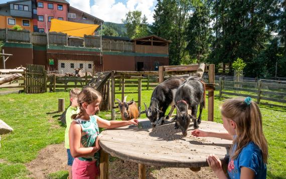 Bliem´s Familienhotel _DSC5333
