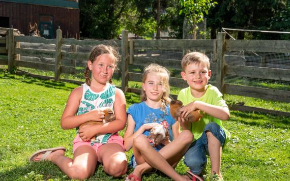 Bliem´s Familienhotel _DSC5340
