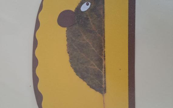 IMG-20230821-WA0008 IMG-20230821-WA0008