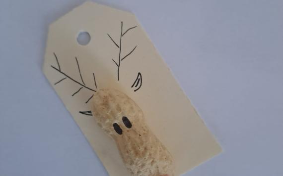 IMG-20231213-WA0016 IMG-20231213-WA0016