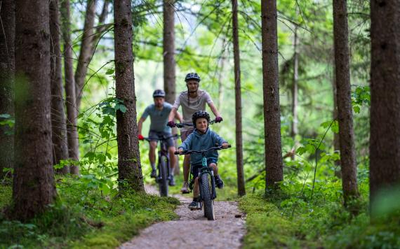 Singletrack Haus-Aich 030 © Christoph Oberschneider (2023-06)_1 Singletrack Haus-Aich 030 © Christoph Oberschneider (2023-06)_1