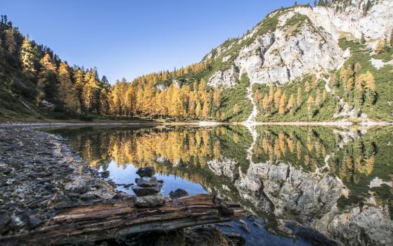 Ahornsee 008 © Gerhard Pilz (2019) Ahornsee 008 © Gerhard Pilz (2019)