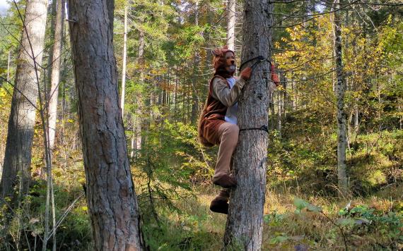 PXL_20231028_083433298 PXL_20231028_083433298