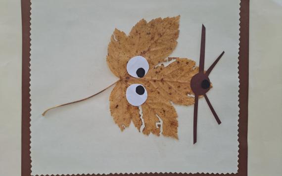 IMG-20230821-WA0010 IMG-20230821-WA0010