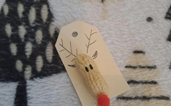 IMG-20231213-WA0015 IMG-20231213-WA0015