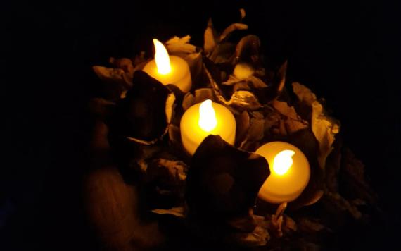 IMG-20240322-WA0007 IMG-20240322-WA0007