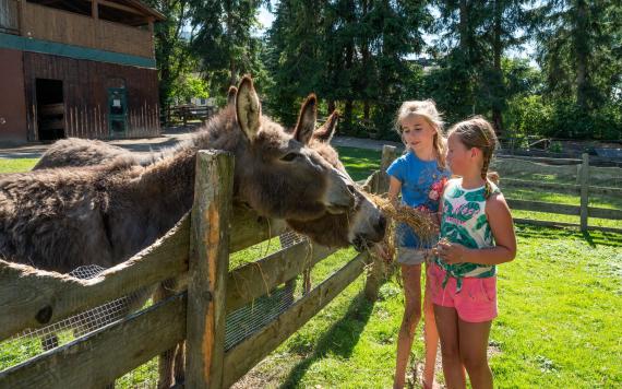 Bliem´s Familienhotel _DSC5374