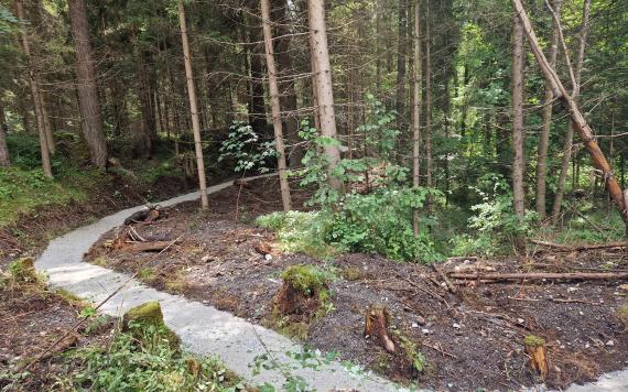 Singletrack Haus Aich