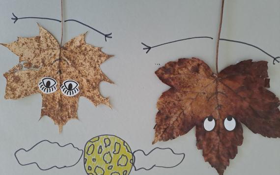 IMG-20230821-WA0009 IMG-20230821-WA0009