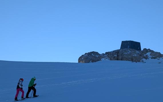 PXL_20241228_134736446 PXL_20241228_134736446