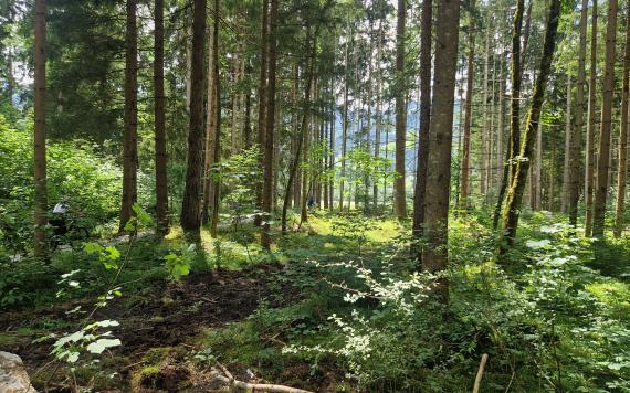 Singletrack Haus Aich