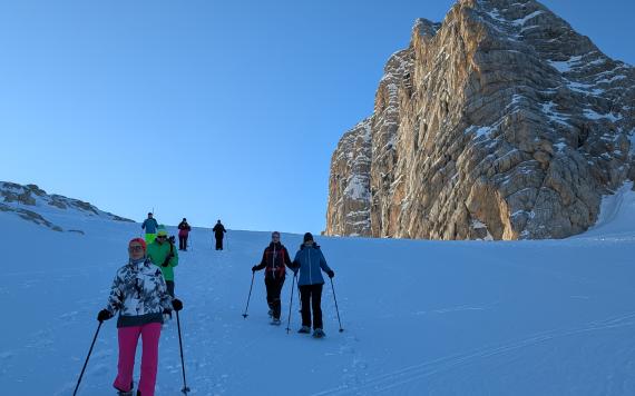 PXL_20241228_141351905 PXL_20241228_141351905