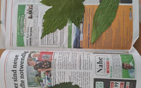 IMG-20230821-WA0007 IMG-20230821-WA0007