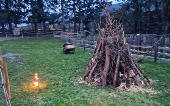 20230408_194056 20230408_194056