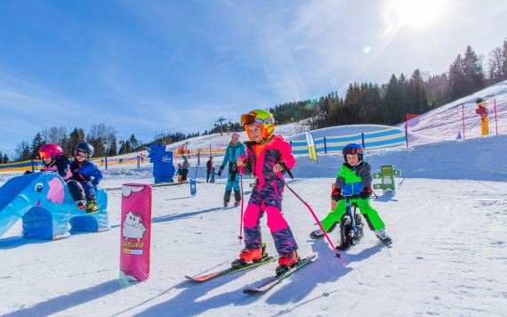 Bild 1_(1) Bild 1_(1)