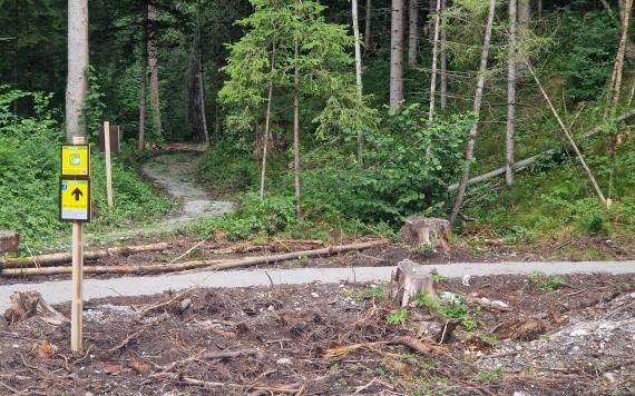 Singletrack Haus Aich