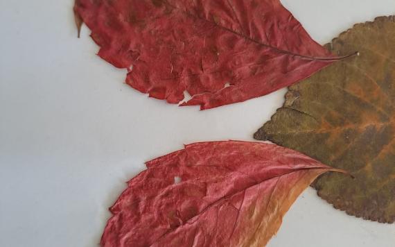 IMG-20230821-WA0014 IMG-20230821-WA0014