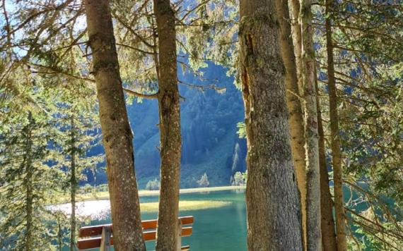 Bliem´s Familienhotel 121065516_3541102275928683_1396891267705416149_n