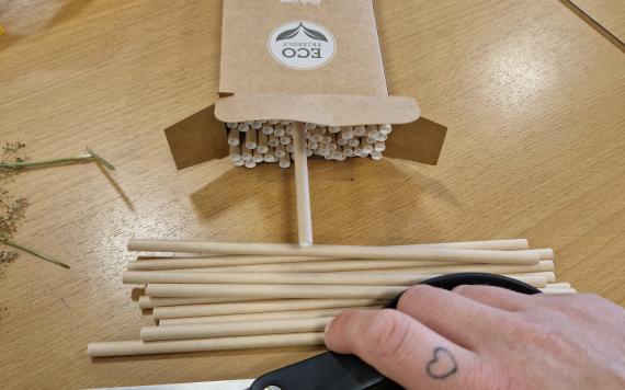 WhatsApp Image 2023-07-13 at 10.11.25 WhatsApp Image 2023-07-13 at 10.11.25