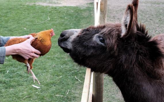 Bliem´s Familienhotel 170414-Ostern-Bliems-08