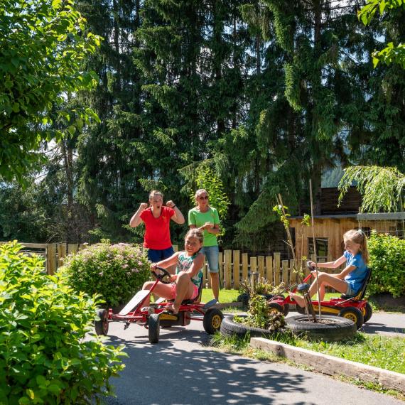 Bliem´s Familienhotel _DSC5298