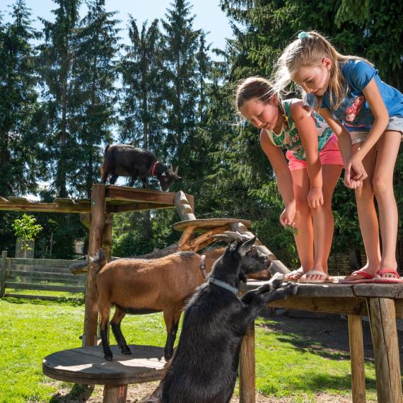 Bliem´s Familienhotel _DSC5330