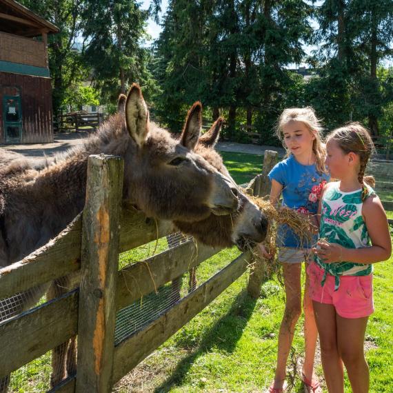 Bliem´s Familienhotel _DSC5374
