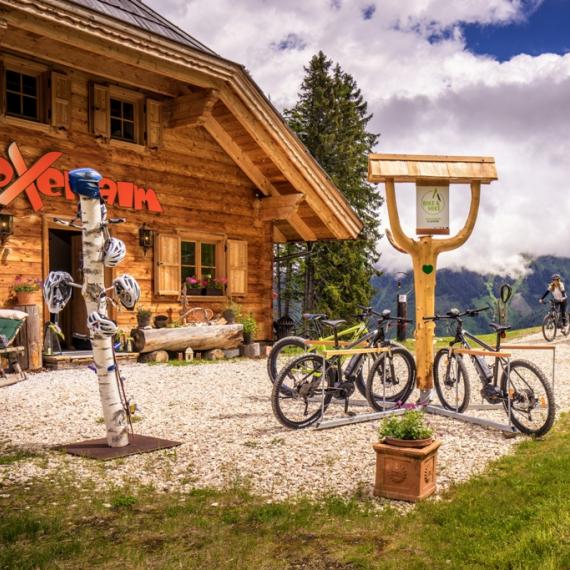 Bliem´s Familienhotel image-255895