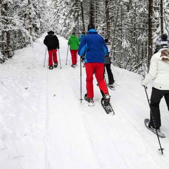 170106-Schneeschuhwanderung-Gradenbach-8