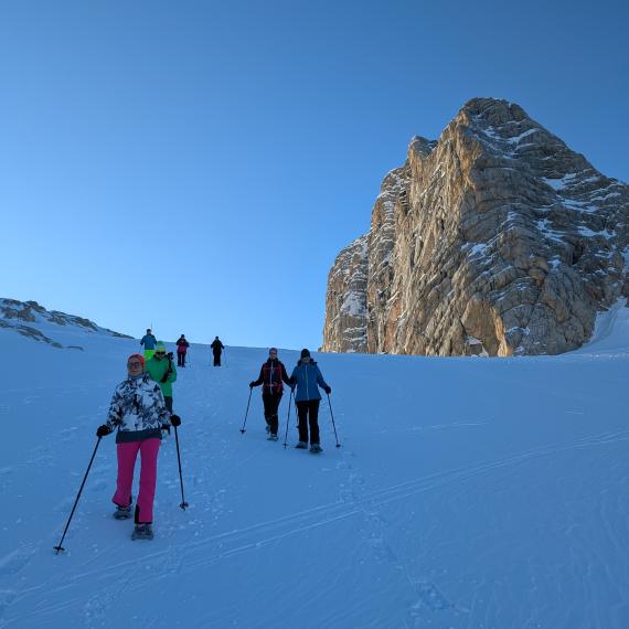 PXL_20241228_141351905 PXL_20241228_141351905