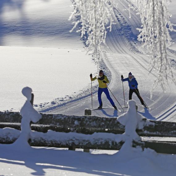 194673-langlauf_ramsau_08-c-photo-austria.at_hans-simonlehner 194673-langlauf_ramsau_08-c-photo-austria.at_hans-simonlehner